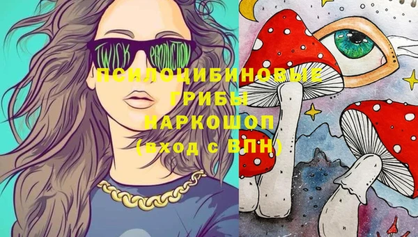 дживик Киреевск