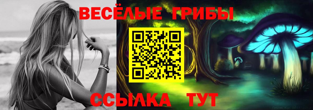 Хабаровск  Галлюциногенные грибы GOLDEN TEACHER  Вход с VPN  Галлюциногенные грибы GOLDEN TEACHER 